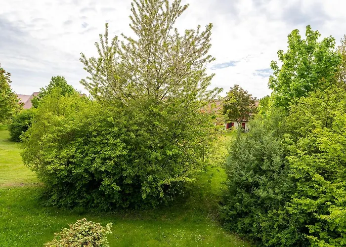 Apartamento Rugana - Komfortplus Mit 1 Schlafzimmer B26 Dranske